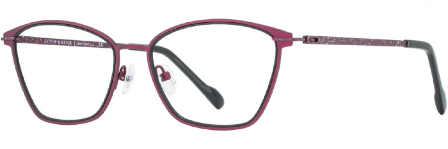 Scott Harris SH872 Eyeglasses - view 2